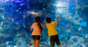 niños con un acuario de fondo