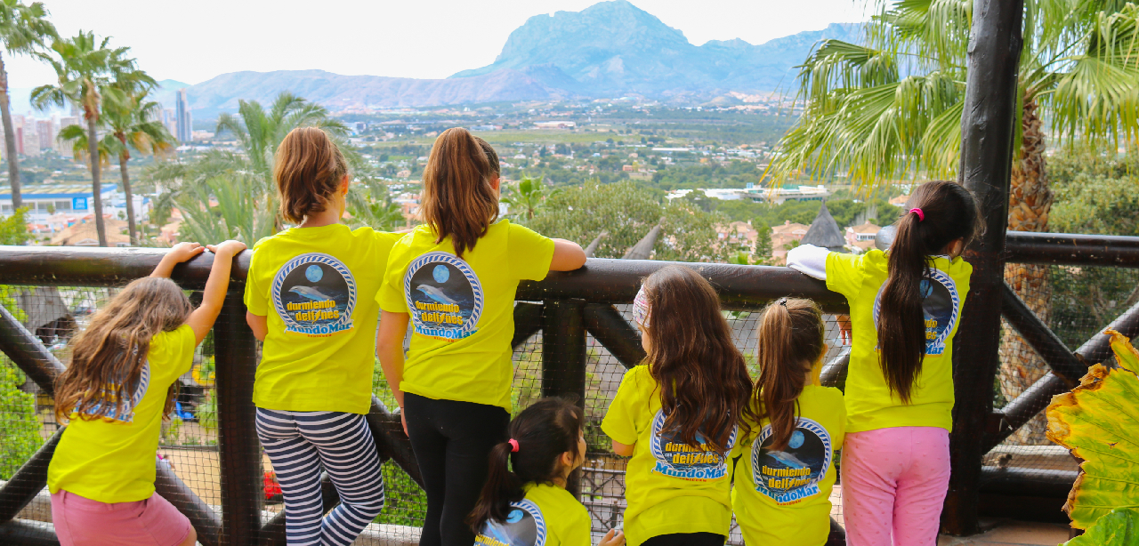 niños mirando las vistas de Benidorm en Mundomar con una camiseta de la actividad durmiendo con delfines