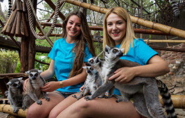 keepers with lemurs