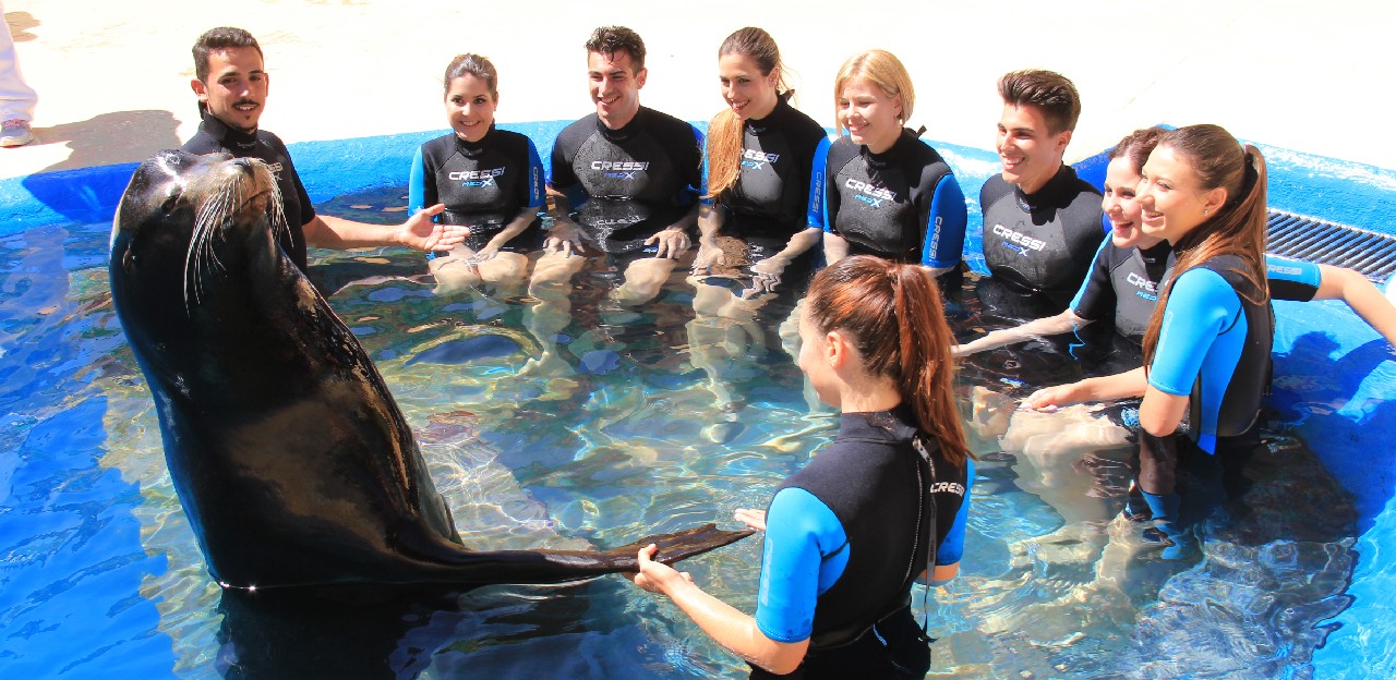 Participants in the learning about sea lions experience